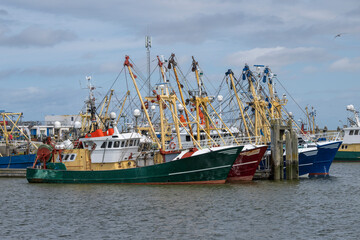 Fishing boats at anchor in a Dutch harbour.
