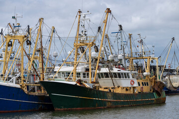 Fishing boats at anchor in a Dutch harbour.