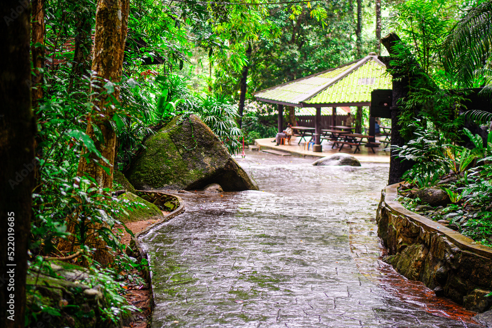 Poster bridge in the forest