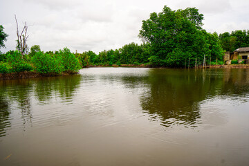 lake in the park