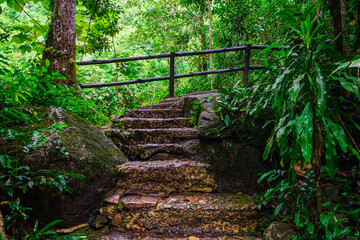 Obraz premium stairway to heaven