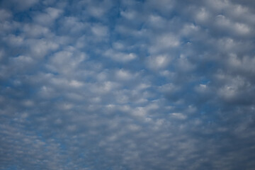 Fototapeta premium Cirrus clouds in a dark blue sky. Abstract natural background. Beautiful drawings of white clouds. full frame, copy space. The concept of rainy weather, predictions. Empty Sky for website text design