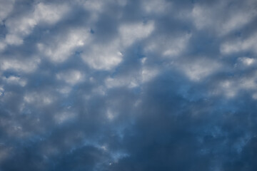 Cirrus clouds in a dark blue sky. Abstract natural background. Beautiful drawings of white clouds. full frame, copy space. The concept of rainy weather, predictions. Empty Sky for website text design