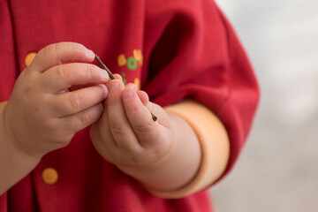 close up of a baby's hands playing with a twig, outside activity, fine motor skills development