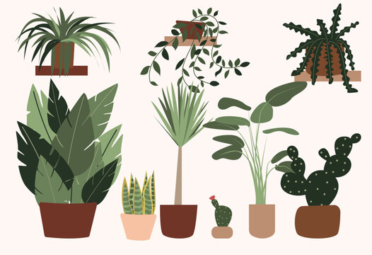 Window Plants Collection. Set Of Various Potted Tropical Houseplants. Flat Style Stock Vector Illustration, Eps 10