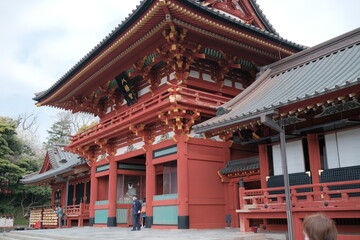 Obraz premium 鎌倉の鶴岡八幡宮