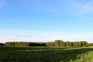 summer field forest blue sky clouds