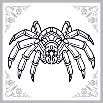 Spider zentangle arts isolated on white background