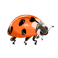 Ladybug, simple flat design stylized red and black. Vector illustration isolated on white background. Cute insects. Childrens illustration