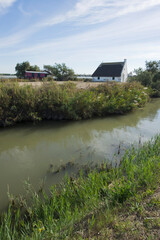 Obraz premium Saintes Maries de la Mer en Camargue