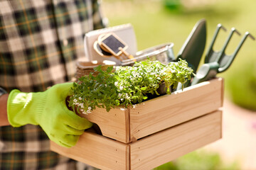 gardening and people concept - close up of man holding wooden box with tools at summer garden