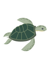 Turtle