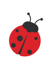Ladybug