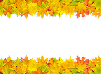 Naklejka na ściany i meble bright multicolored maple leaves isolated on white background
