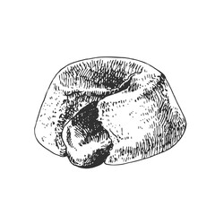 hand drawn vector fresh french fondant dessert