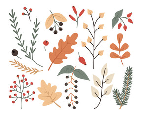 Autumn twigs, leaves and berries are a warm cute set. Oak, maple, currant, wild rose, bird cherry, spruce. Vector illustration of falling for design and decor.