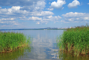 River landscape on a hot summer day