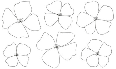 set of flower illustrations 