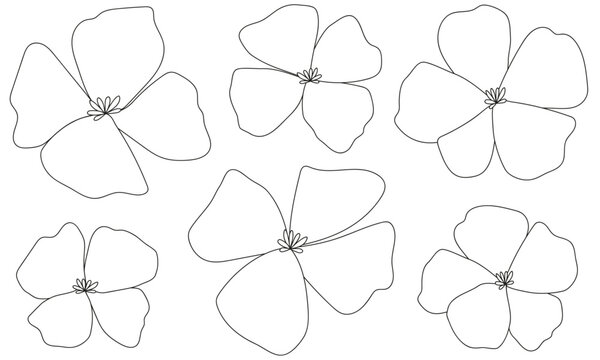 set of flower illustrations 