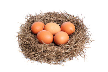 Hay nest with five chicken eggs on white