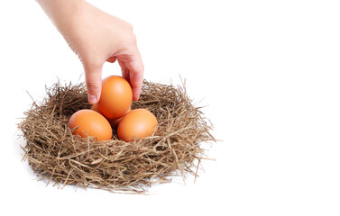 Hand taking a fresh egg from a hay nest