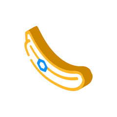 whole banana isometric icon vector. whole banana sign. isolated symbol illustration