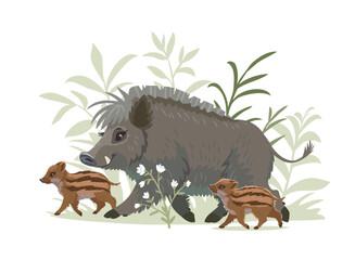 Cute Boars