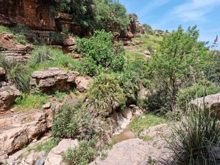 A breathtaking view in the middle of nature between trees and rocks