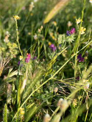 Fotografías Luna Guillén Aguirre