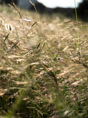 Fotografías Luna Guillén Aguirre