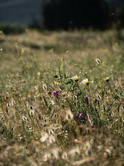 Fotografías Luna Guillén Aguirre