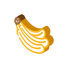 branch banana bunch isometric icon vector. branch banana bunch sign. isolated symbol illustration
