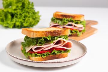 Close-up photo of an American club sandwich. Fast food concept. 