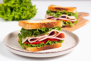 Close-up photo of an American club sandwich. Fast food concept. 