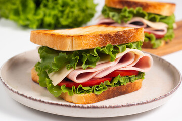 Close-up photo of an American club sandwich. Fast food concept. 