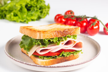 Close-up photo of an American club sandwich. Fast food concept. 