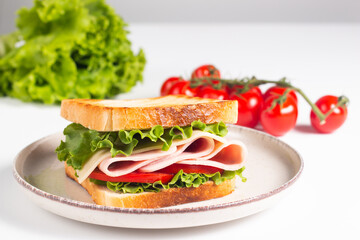 Close-up photo of an American club sandwich. Fast food concept. 