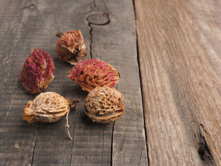 A variation of peach pits on a rustic garden table