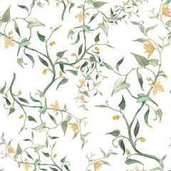 Watercolor plants seamless pattern. Hand painted floral texture on white background.