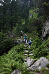 Obraz premium mountain bike trail