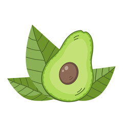 Green ripe avocado fruit with leaf. Sliced half with pulp. Healthy diet food. Culinary ingredient. Cooking food. Flat vector illustration isolated on white background