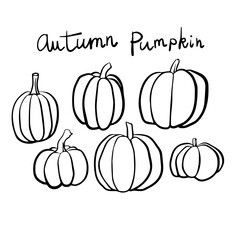 pumpkins free hand vector autumn symbol veggies drawing set black ink simple calligraphy line