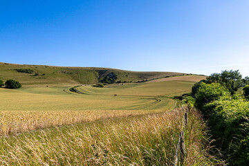Fototapeta premium A South Downs landscape, with the Long Man of Wilmington in the distance and a blue sky overhead