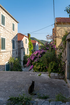 Picturesque view of the small town of Ston, Dalmatia, Croatia