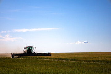 Fototapeta premium Agricultural machinery in operation in the fields. A new trend in technology.