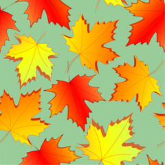 seamless asymmetric pattern of autumn maple leaves on a green background, texture, design