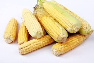 ears of corn in the studio