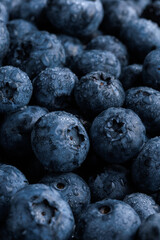 freshly picked washed blueberry background. Macro. vertical