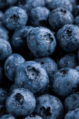freshly picked washed blueberry background. Macro. vertical
