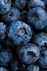 freshly picked washed blueberry background. Macro. vertical